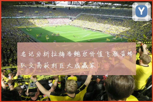 名记分析拉梅洛鲍尔价值飞涨黄蜂队交易获利巨大成赢家